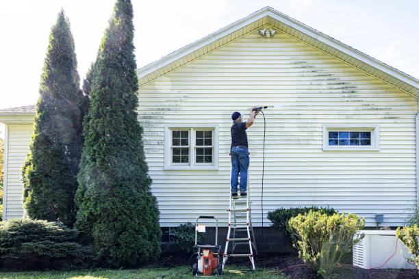 Best Deck and Patio Pressure Washing in Cold Spring, MN
